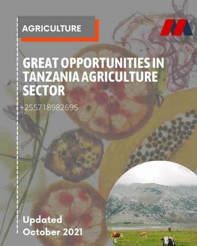 Great Opportunities in Tanzania Agriculture Sector