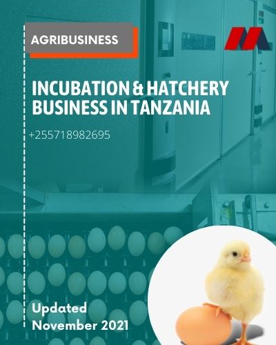 Incubation & Hatchery Business in Tanzania