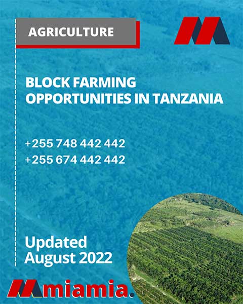 Block farming opportunities in Tanzania