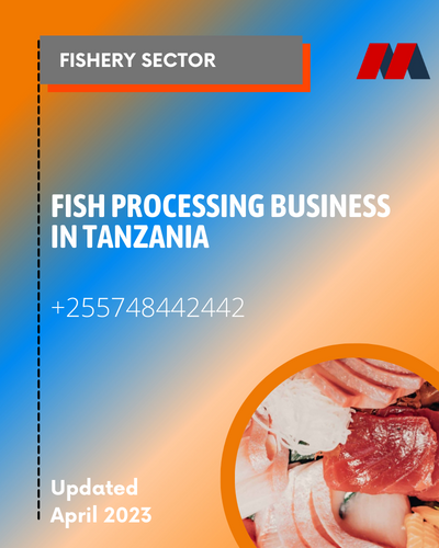 Fish processing business in tanzania 2