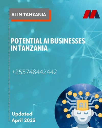 Potential AI Businesses in Tanzania