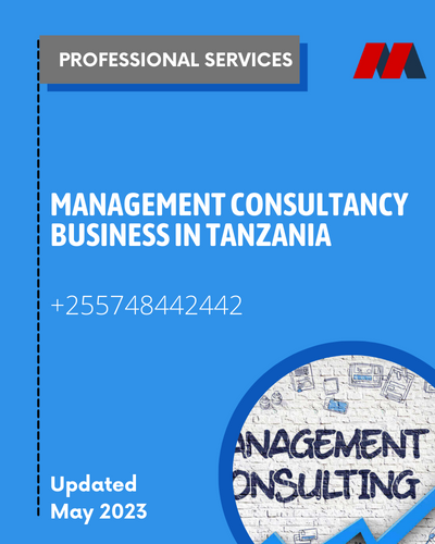 Management consultancy business Tanzania